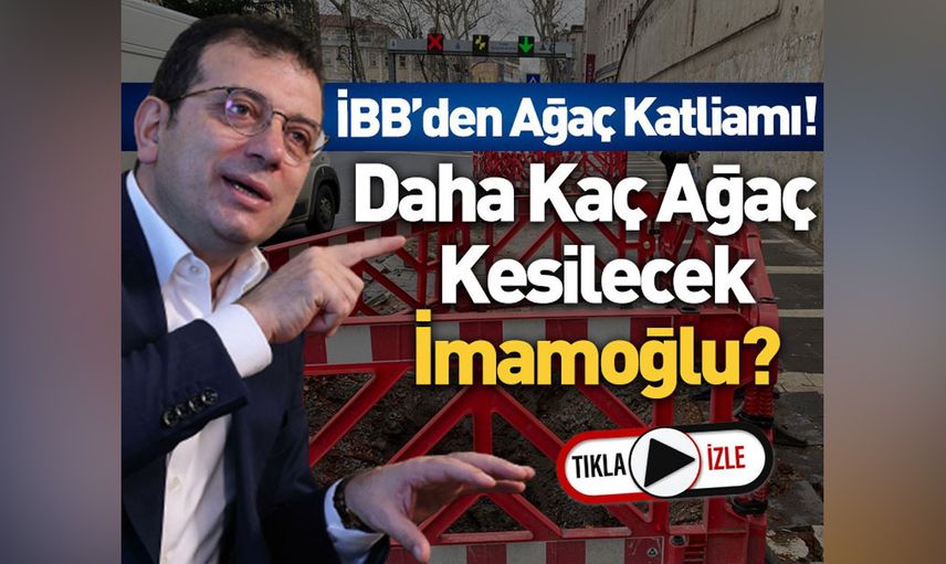 İBB ve Ekrem İmamoğlu'na tepki: Bu bir ağaç katliamıdır