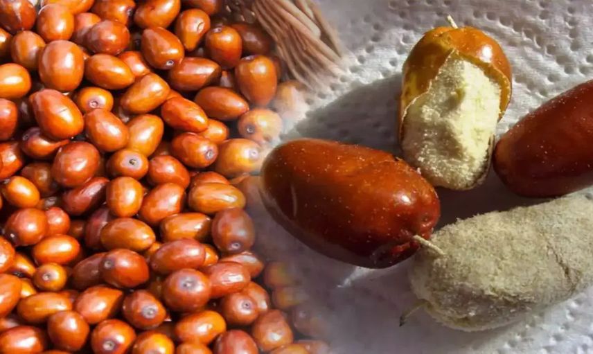 İğde’nin sağlığa faydaları: Bağışıklığı güçlendiriyor, böbrek hastalıklarına iyi geliyor ve kanseri önlemede rol oynuyor!