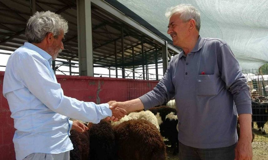 Iğdır kurbanlık fiyatları ne kadar? 2022 Iğdır büyükbaş, küçükbaş kurbanlık hisse fiyatları