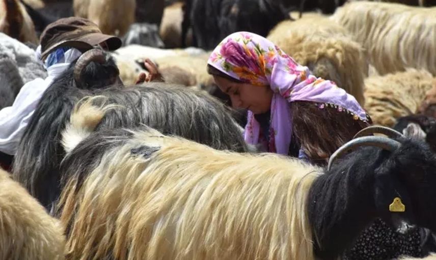 İki üniversite bitirdi ancak bu mesleği seçti! 10 kadına cesaret verdi, umut oldu!