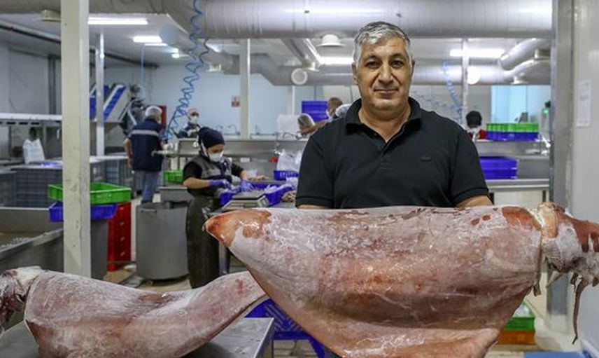 İlk Kez Görüldü: İzmir'de Balıkçıların Ağlarına Takıldı!