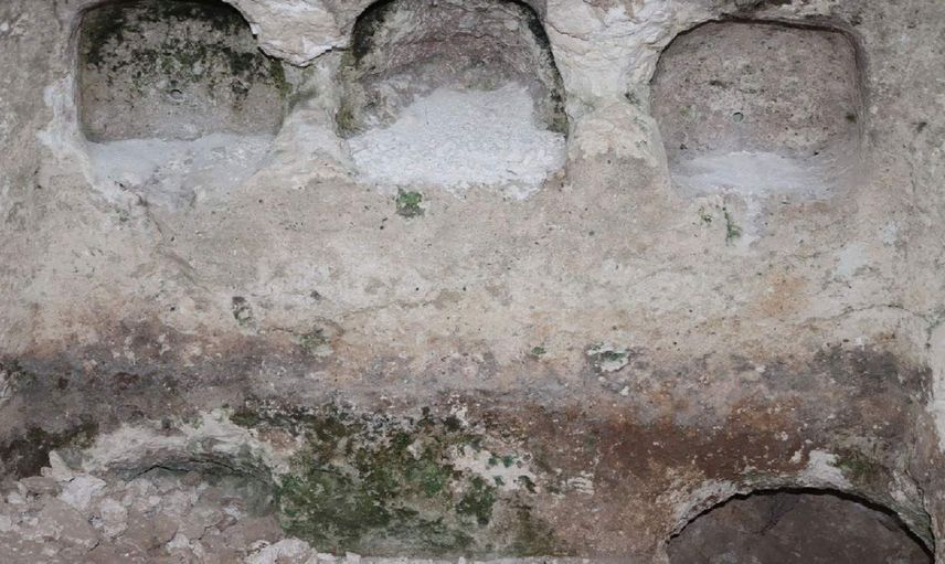 İlk kez görüldü: Jandarma bölgeyi koruma altına aldı