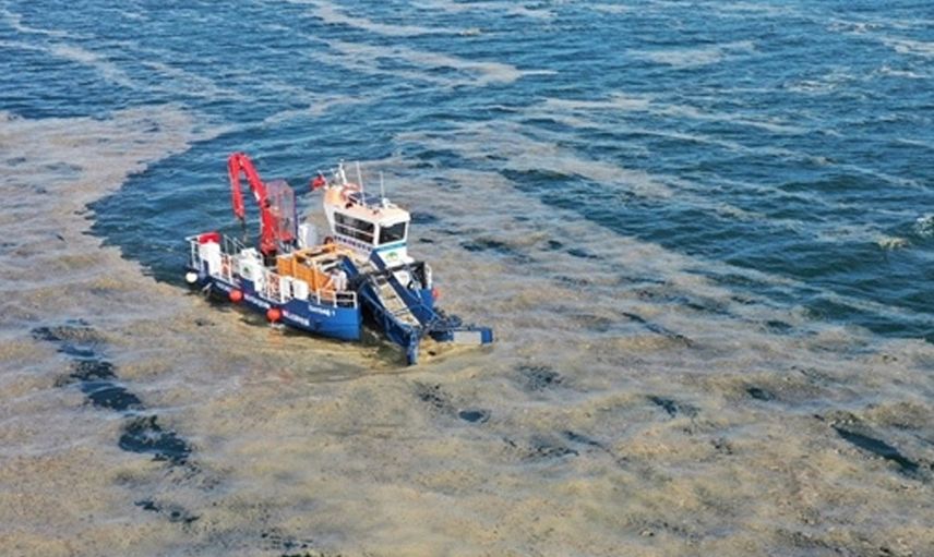 İlk Testlerin Sonuçları Çıktı! Müsilaj (Deniz Salyası) Neden Oluyor?
