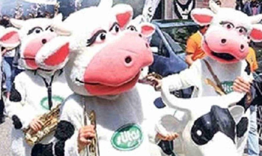 İnek bayramı nedir, neden kutlanır ? İnek bayramı ne zaman ortaya çıkmıştır?