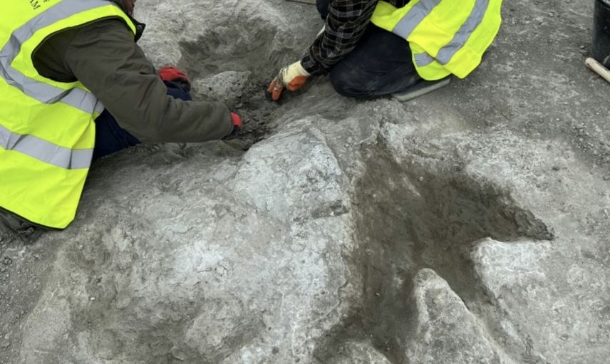 İngiltere'de dinozor ayak izi keşfedildi.