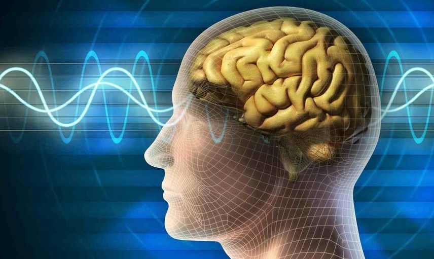 İnsan beyninin ideal sıcaklığı ne kadardır? İnsan beyninin sıcaklığı kaç derece olmalıdır? İnsan beyninin ideal sıcaklığını öğrenince çok şaşıracaksınız!