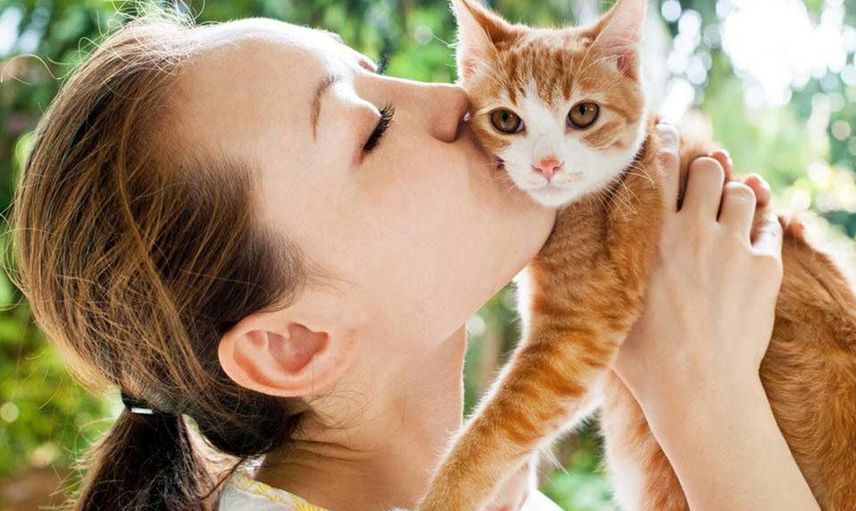 İnsan ve kedi dostluğunun sırrı çözüldü! Kediler neden bu kadar çok seviliyor?
