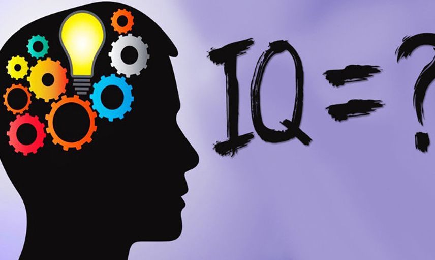 IQ Testi Nasıl Yapılır?