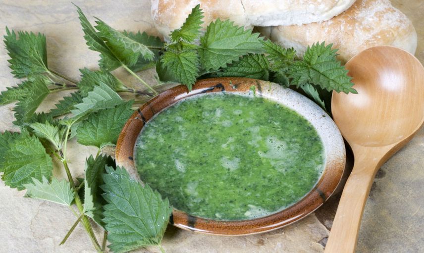 Isırgan Otu Çorbası Tarifi