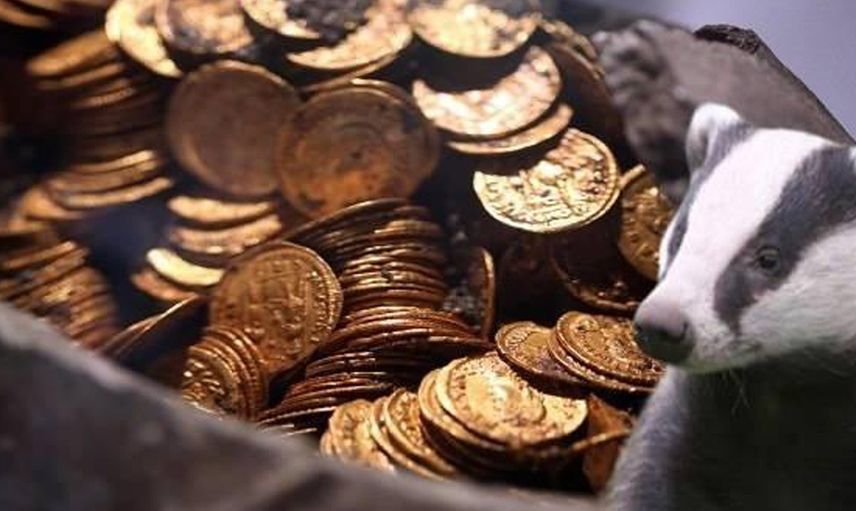 İspanya'da Bir Bal Porsuğu Hazine Buldu: Üstelik Türkiye Detayı Var!