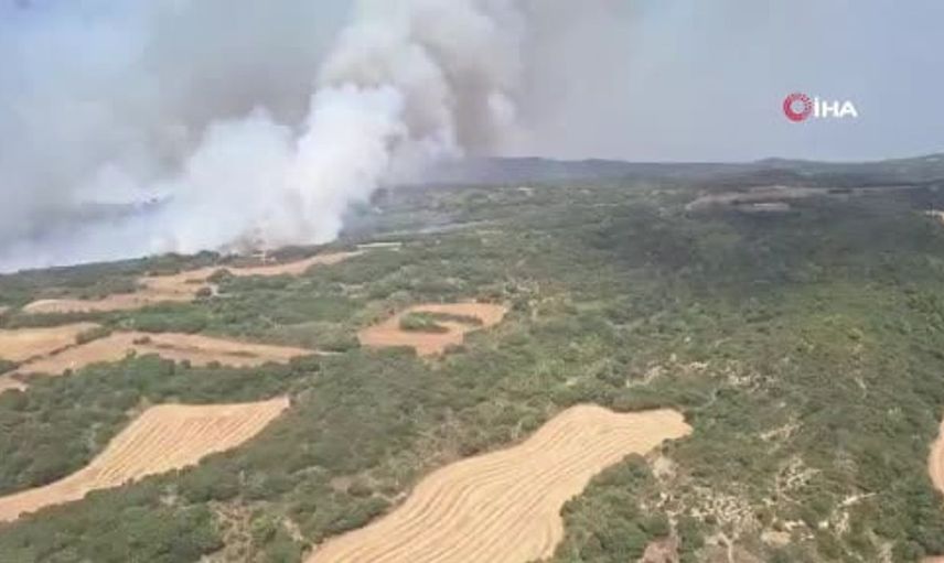 İspanya'da orman yangını: 11 bin dönümden fazla alan kül oldu