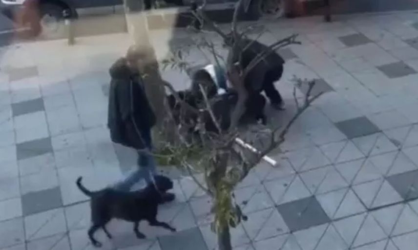 İSPARK görevlisinden yaşlı sürücüye dayak: Kamyonetten indirip sopayla darp etti!