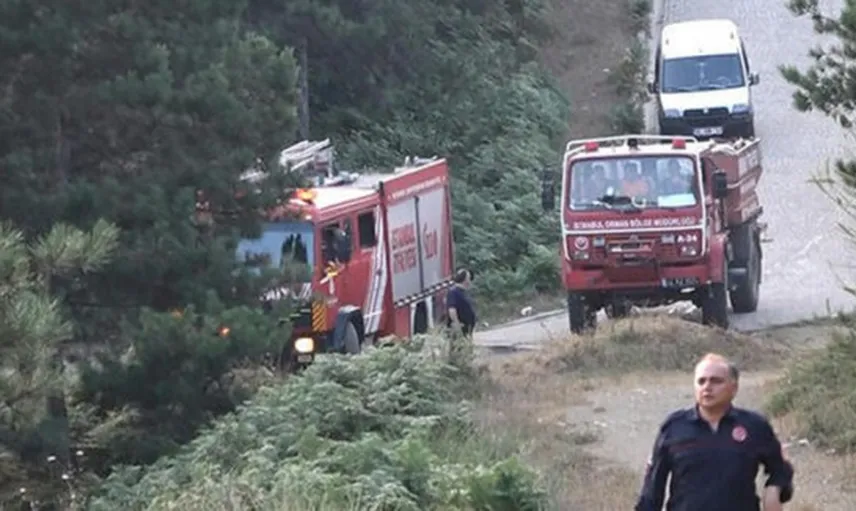 İstanbul Sultangazi'de Orman Yangını  