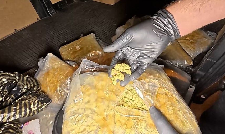 İstanbul'da 3 ilçede uyuşturucu operasyonu: 45 kilo skunk ele geçirildi, 4 gözaltı