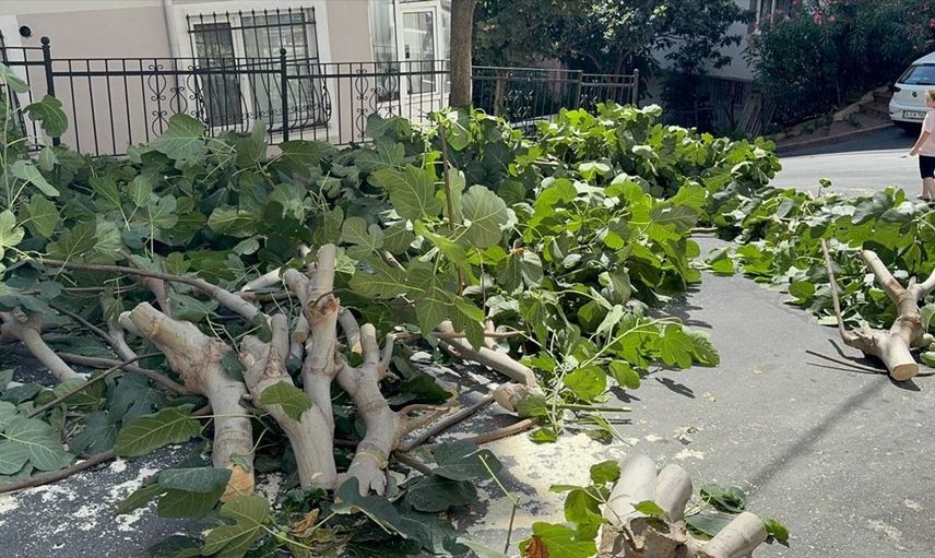 İstanbul'da Fırtına Hayatı Olumsuz Etkiliyor