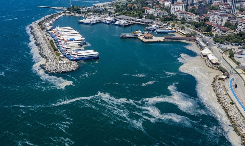 İstanbul'da Müsilaj Yoğunluğu Azalıyor