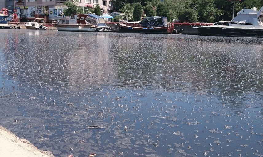 İstanbul'u Lağım Kokusu Sardı: Vatandaşlar İsyan Ediyor!