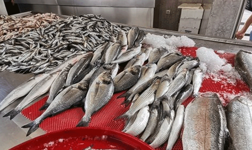 İstavritin Kilosu 15 Liradan Satılıyor