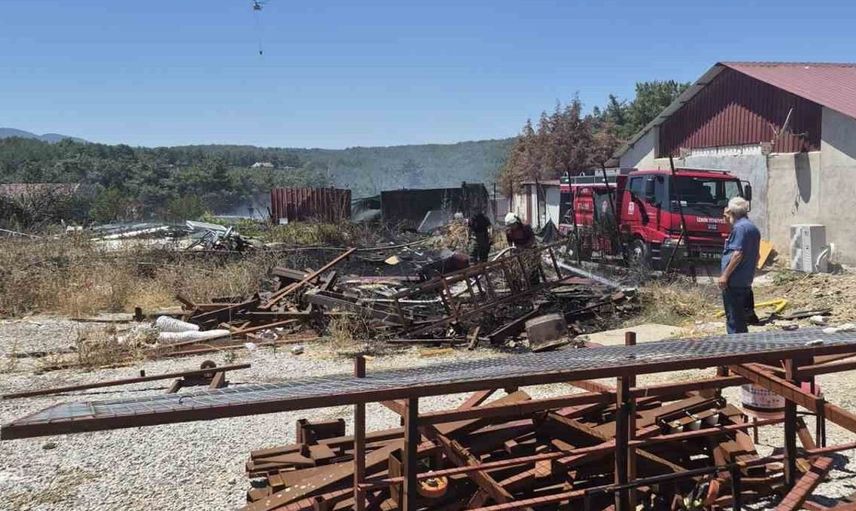 İzmir'de insan kaynaklı orman yangınları: Tutuklamalar gerçekleşti
