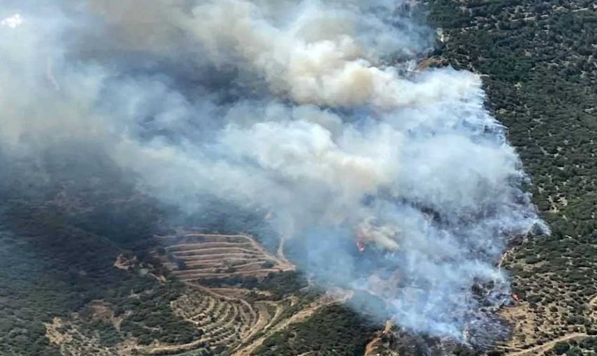 İzmir'de korkutan orman yangını! Çok sayıda ekip olay yerine sevk edildi