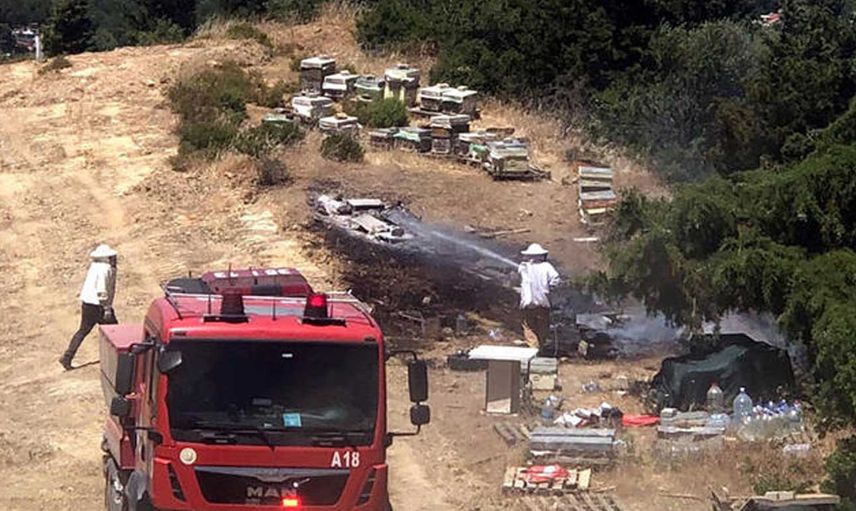 İzmir'de korkutan orman yangını: Ekipler seferber oldu