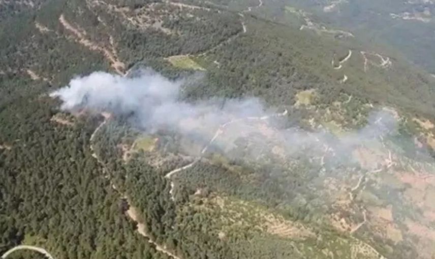 İzmir'de korkutan orman yangını! Olay yerine çok sayıda personel sevk edildi