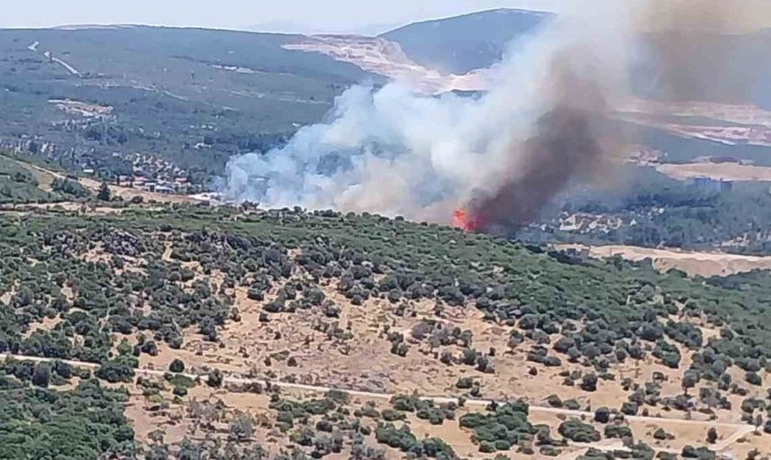 İzmir'de orman yangınına havadan ve karadan müdahale