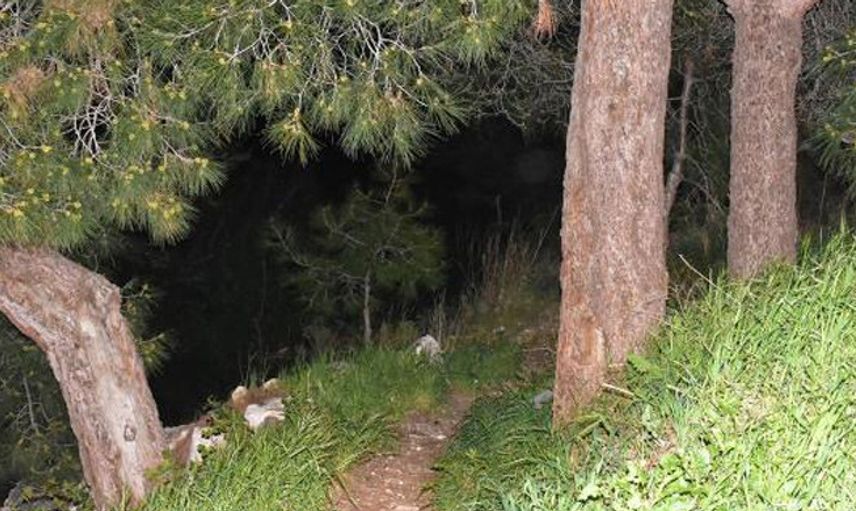 İzmir'de Ormanda Kafatası ve Kaburga Bulundu