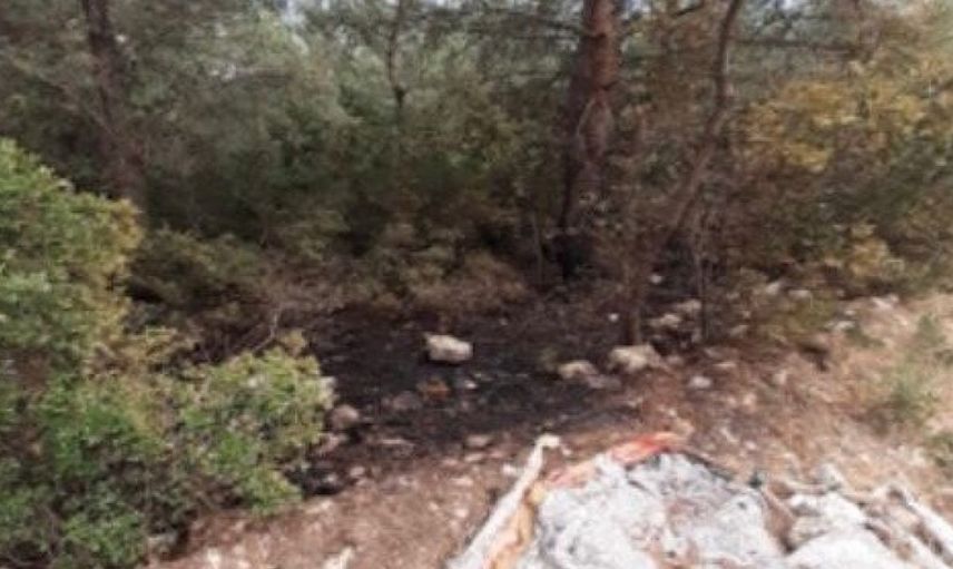 İzmir'de Ormanı Ateşe Veren Şüpheli PKK/KCK Üyesi Yakalandı