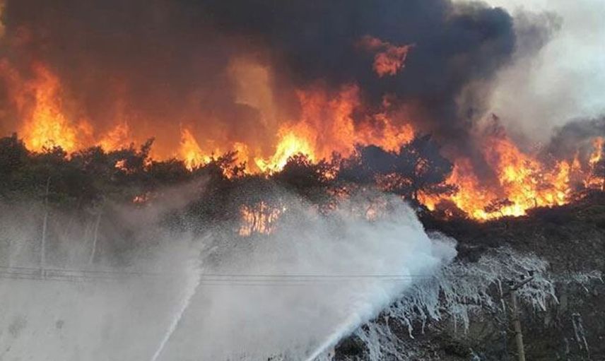 İzmir'de ormanlık alanda yangın! Çıkan yangın kontrol altına alınmaya çalışılıyor