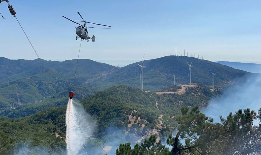 İzmir'de Ormanlık Alanda Yangın Çıktı