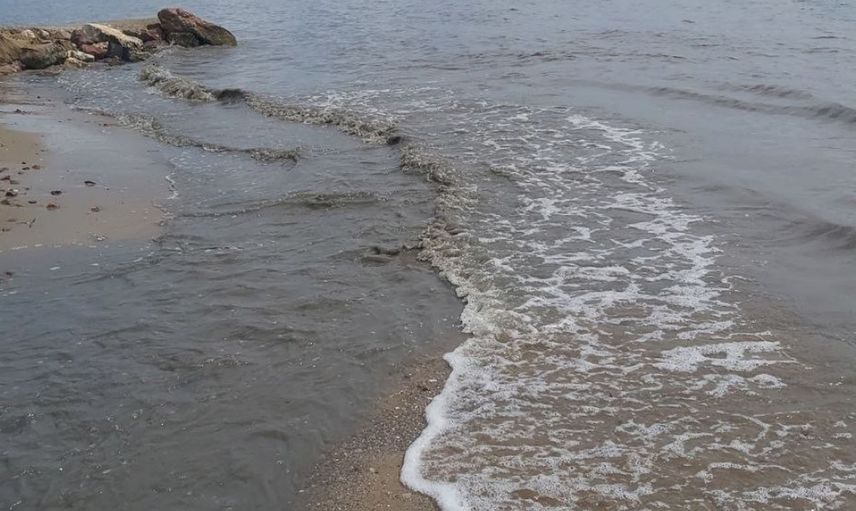 İzmit Körfezi simsiyah oldu! Denizin rengini gören vatandaşlar tedirgin