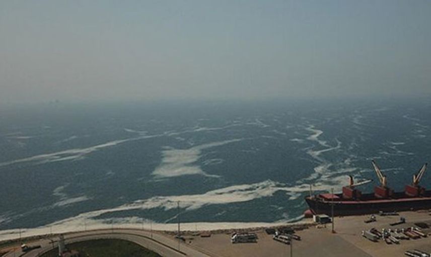 İzmit Körfezi’nde Deniz Salyası Tekrar Görüldü