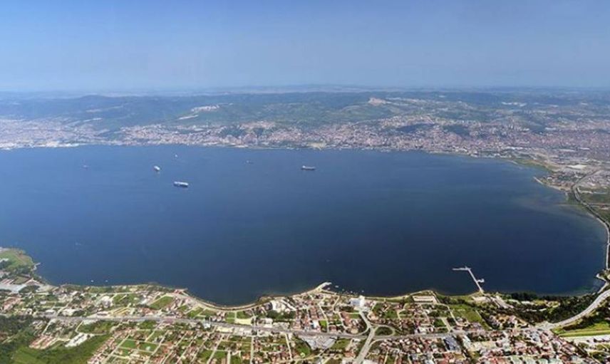 İzmit körfezindeki yosunların sebebi ne? Yosun zararlı mı nasıl oluşur?