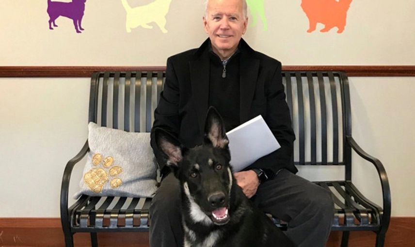 Joe Biden'ın Köpeği Birini Daha Isırdı