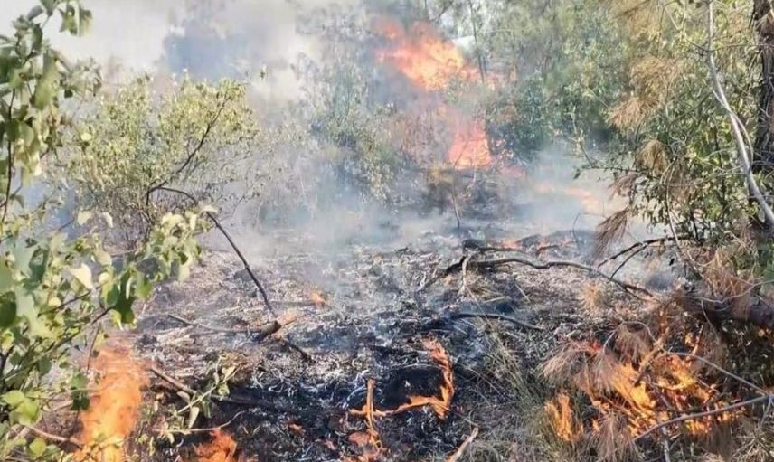 Türkiye'nin Dört Bir Yanı Yanıyor: Kahramanmaraş, Elazığ, İzmir, Osmaniye Alevlere Teslim Oldu!