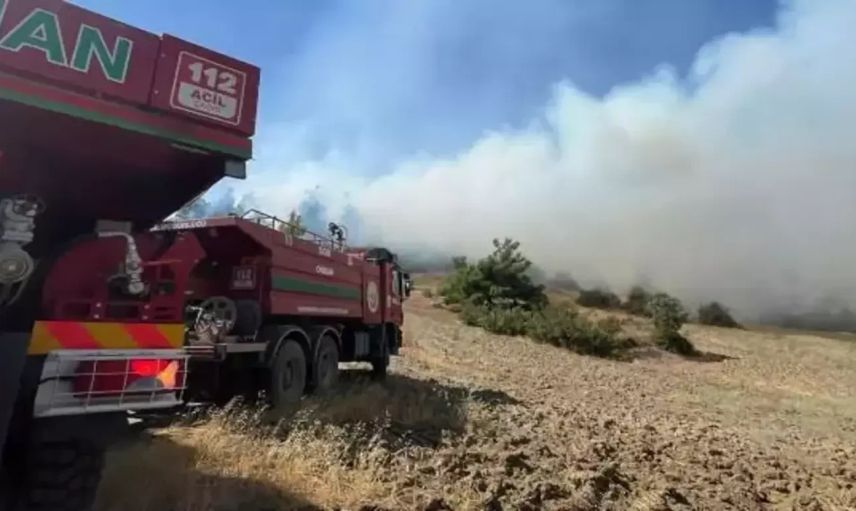Kahramanmaraş'ta Orman Yangını: Ekipler Müdahaleye Başladı