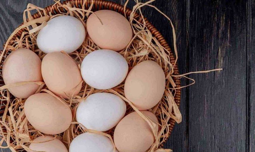 Kahverengi yumurta beyaz yumurta farkı nedir, neden daha pahalı?