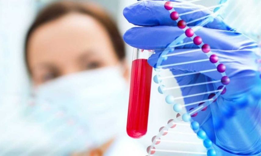 Kan grubu nasıl öğrenilir? Kan grubu testine aç karnına mı gidilir? Kan grubu internetten öğrenilir mi?  Kan grubu test sonucu öğrenme