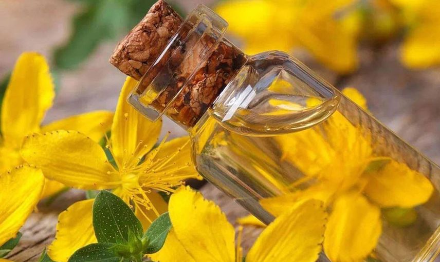 Kantaron yağı nedir, faydaları nelerdir, neye iyi gelir, basura iyi gelir mi? Basurun doğal ilacı kantaron yağı ağrıyı yok ediyor