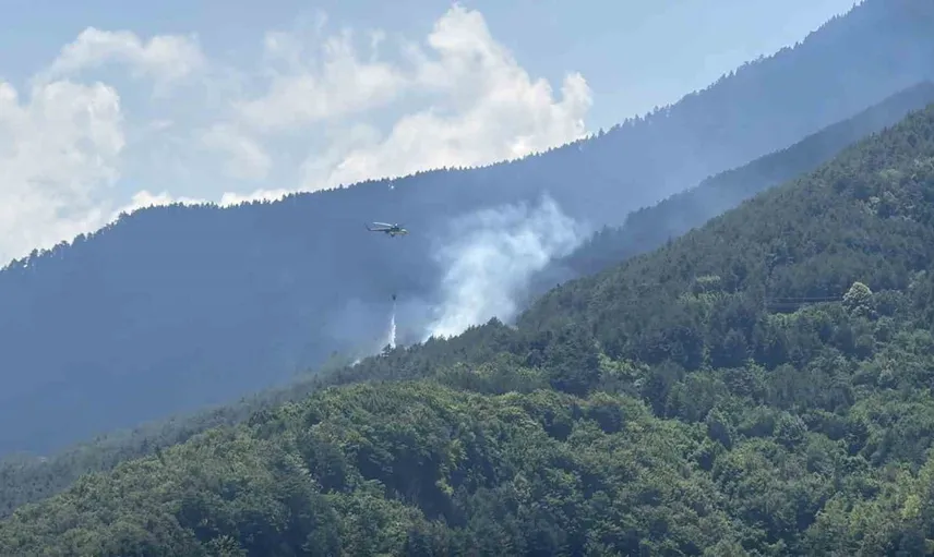 Karabük'te çıkan örtü yangını kontrol altına alındı