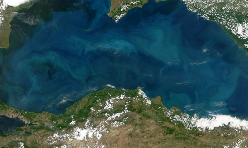 Karadeniz alarm veriyor: Sıcaklık seviyesi üst sınırlarda