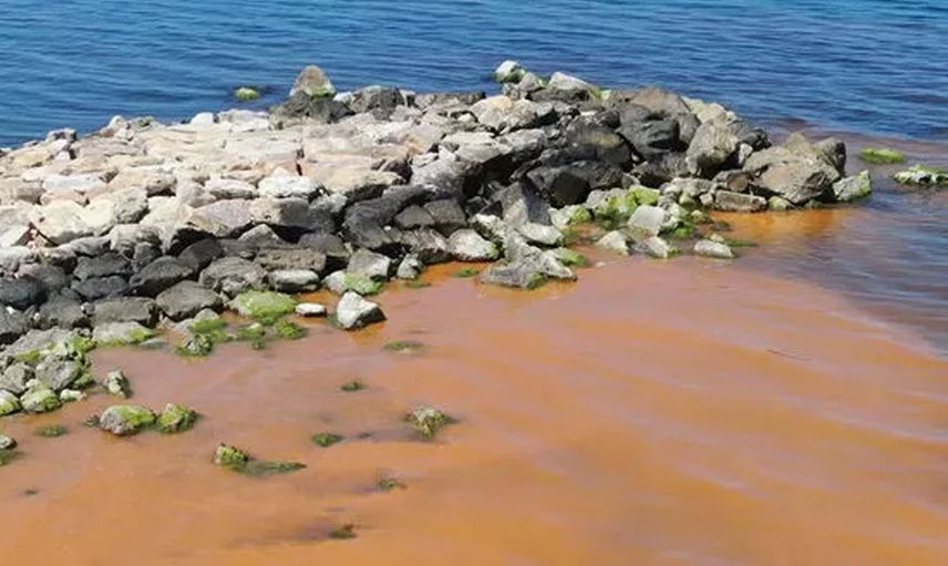 Karadeniz'de korkutan görüntüler! Ekipler hemen harekete geçildi, numune alındı