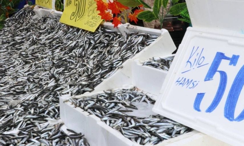 Karadeniz’de balıkçıların yüzü gülüyor: Hamsi bereketi fiyatlara indirim olarak yansıdı