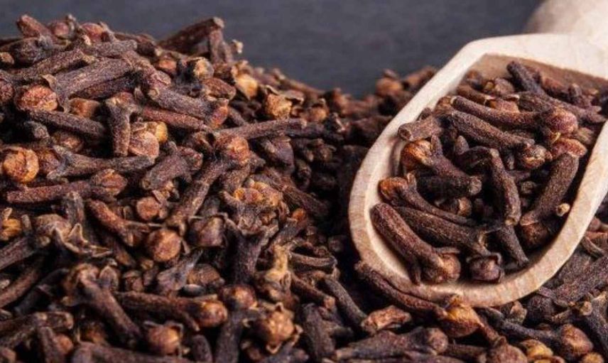 Karanfil suyunun yararları neler? Karanfil suyu saçlara faydalı mı? Karanfil saç spreyi hazırlama yöntemi