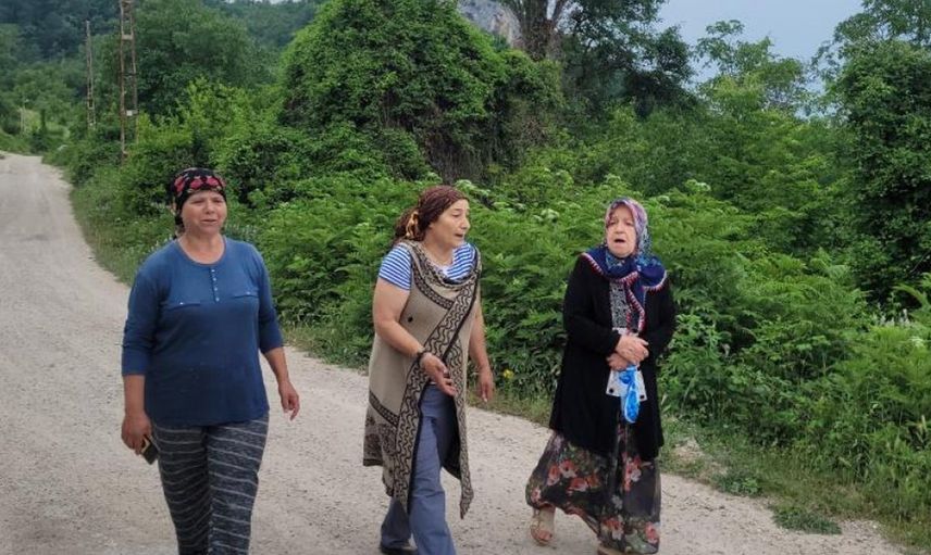Kastamonu'da ayılar gündüzleri yerleşim yerlerine inmeye başladı! Mahalle sakinleri tedirgin