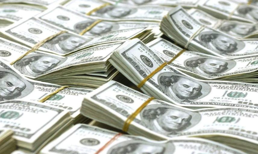 Kendisi küçük değeri devasa: Tam 63 bin dolara satıldı