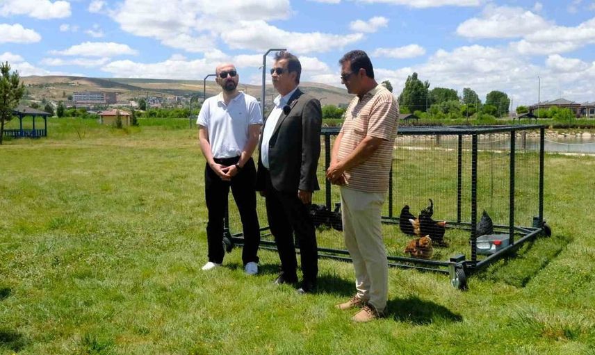 Keneyle mücadelede gezici tavuk kümesi uygulaması
