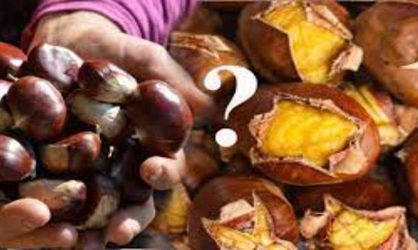 Kestane kilo aldırır mı, kaç kalori? Uzman diyetisyen açıkladı zayıflamak isteyenler dikkat!