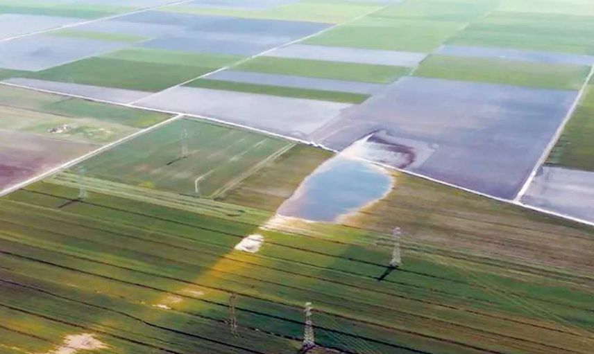 Kilometrelerce uzunluktaki fay hattı görüntülendi: Deprem bataklık gölü meydana getirdi